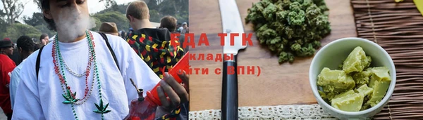 тгк Алзамай