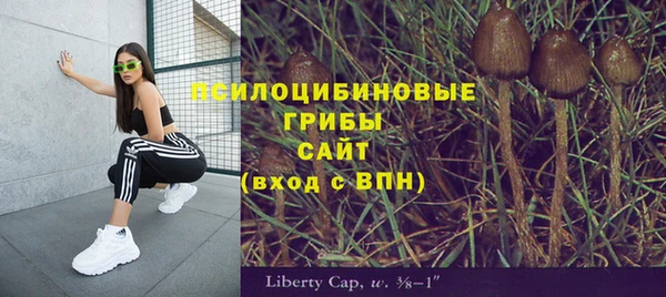 синтетический гашиш Алексин