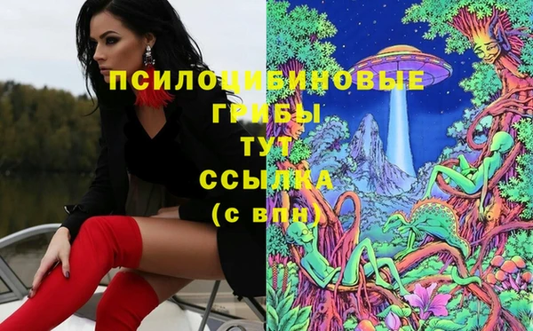 тгк Алзамай